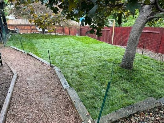 John's Sod Shack Logo