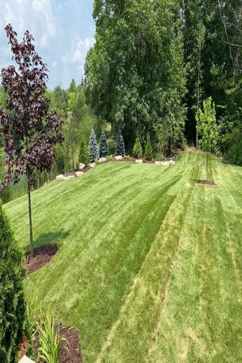 Custom landscaping services experts serving Orland Park, IL - John's Sprinkler Systems