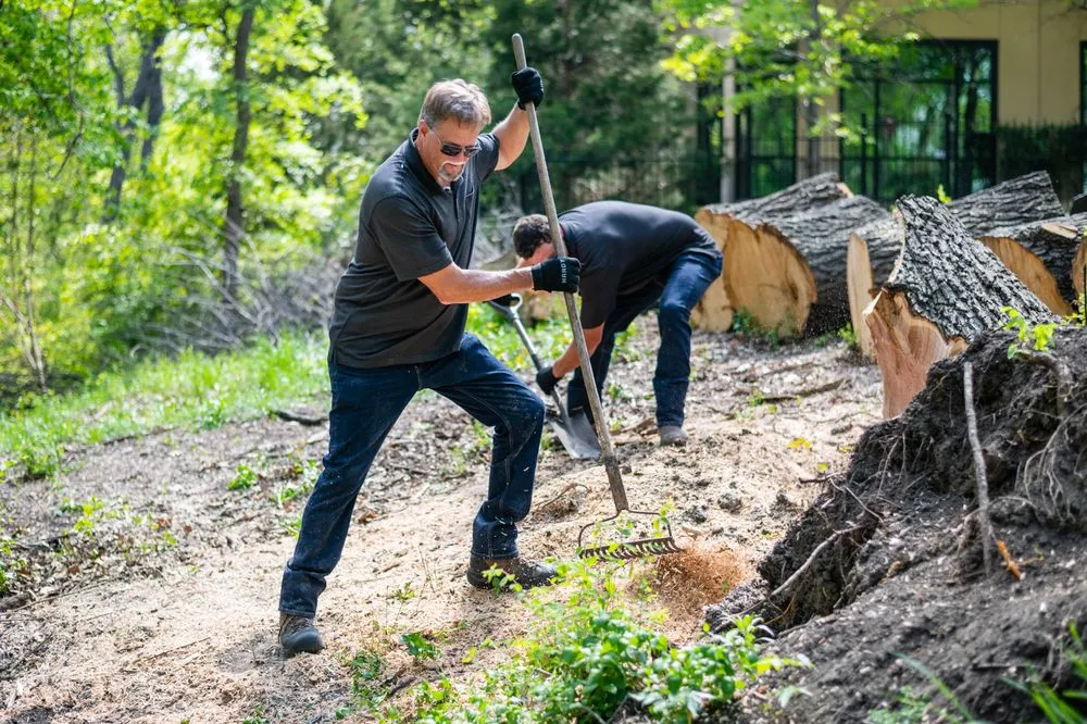 Local outdoor landscaping for year-round maintenance across Addison, TX - John's Stump Removal