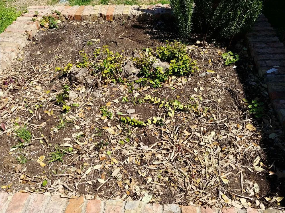 Affordable landscape installation for homes across Addison, TX - John's Stump Removal