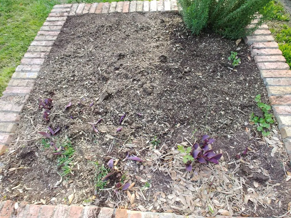 Trusted outdoor landscaping in Addison, TX by John's Stump Removal