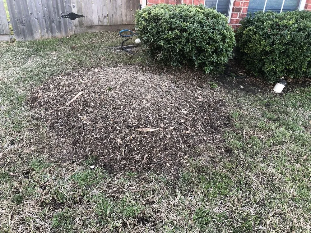 Custom outdoor landscaping in Addison, TX - John's Stump Removal