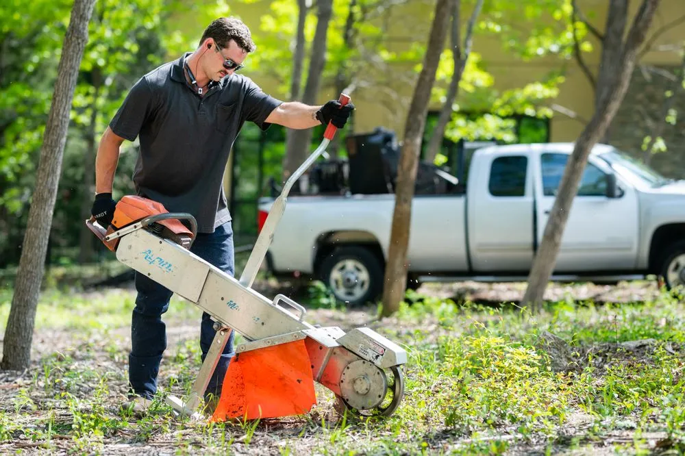 Affordable yard cleanup service experts serving Addison, TX - John's Stump Removal