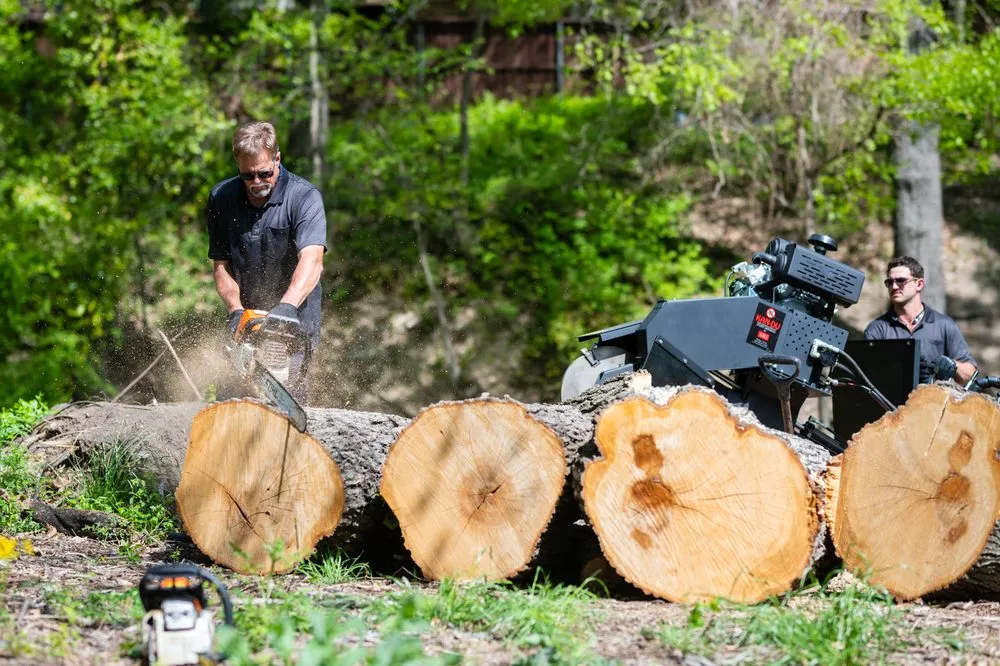 Trusted landscape installation for beautiful yards across Addison, TX - John's Stump Removal
