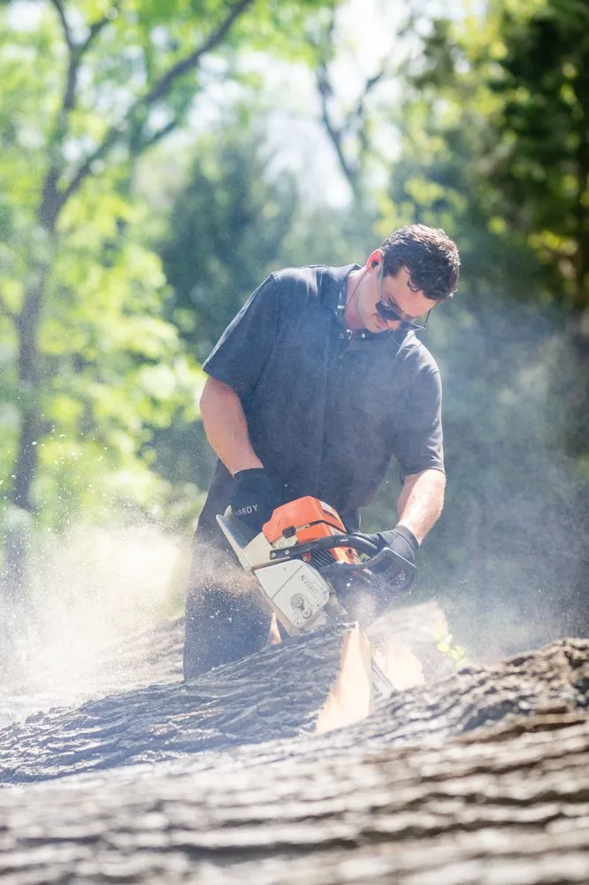 Custom yard cleanup service experts serving Addison, TX - John's Stump Removal