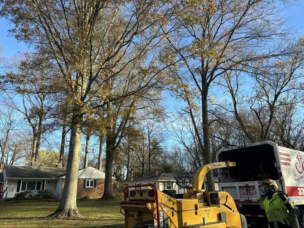 Top-rated landscape installation for homes across Hudson, OH - John's Tree Service & Landscaping