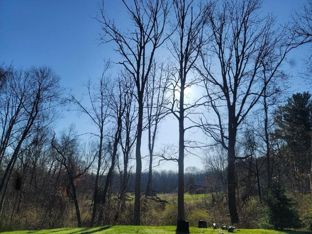 Professional lawn care service for homes across Hudson, OH - John's Tree Service & Landscaping