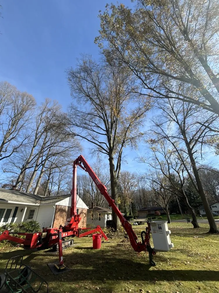 Local garden landscaping experts serving Hudson, OH - John's Tree Service & Landscaping