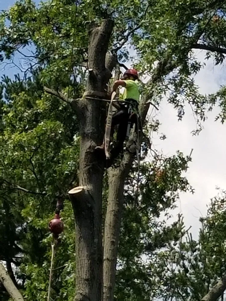 Local lawn care service experts serving Hudson, OH - John's Tree Service & Landscaping