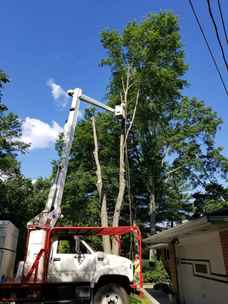 Affordable yard maintenance for outdoor upgrades across Hudson, OH - John's Tree Service & Landscaping