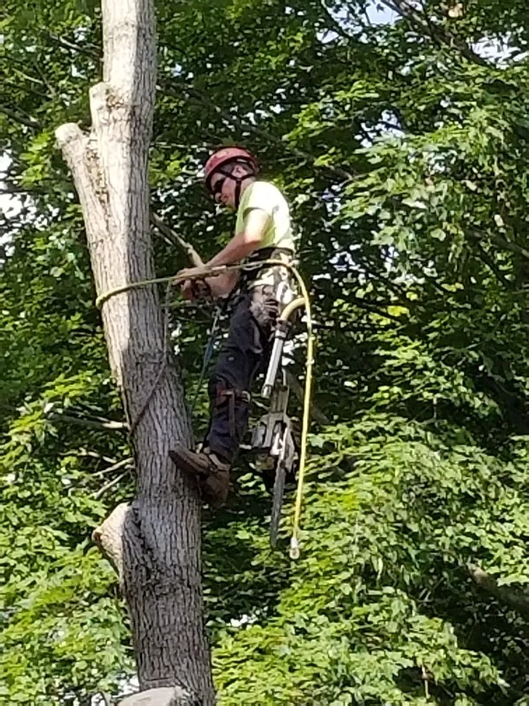 Custom landscape design experts serving Hudson, OH - John's Tree Service & Landscaping