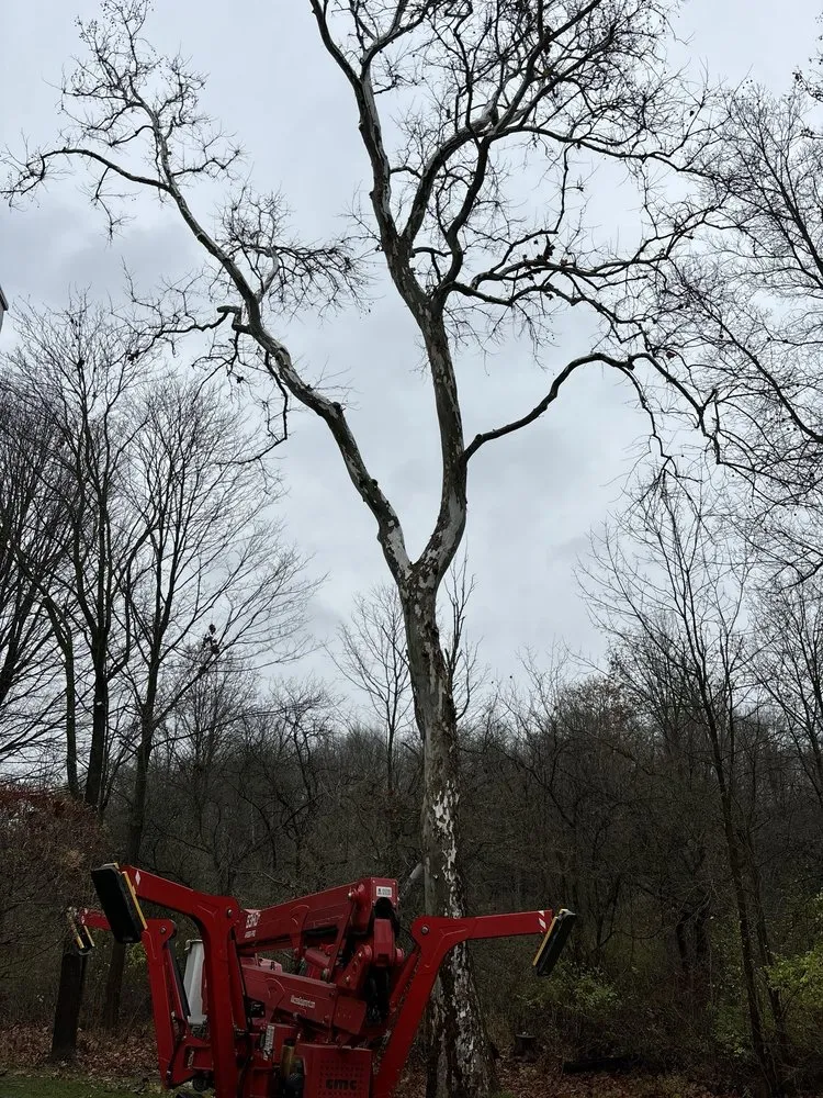 Affordable yard maintenance in Hudson, OH - John's Tree Service & Landscaping