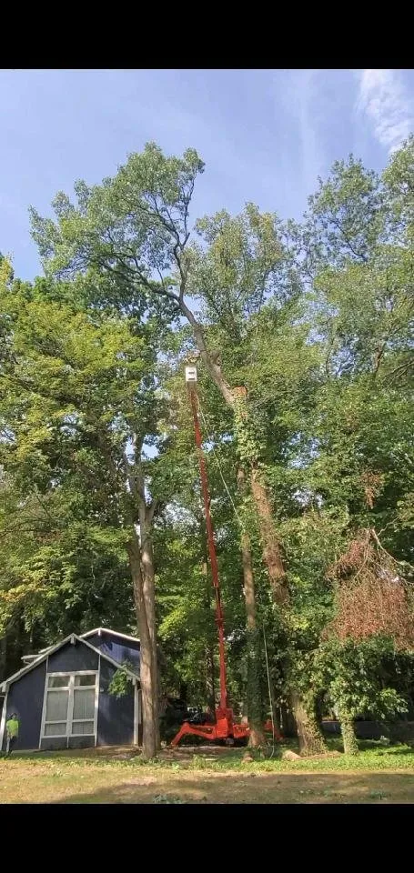 Trusted residential landscaping experts serving Hudson, OH - John's Tree Service & Landscaping