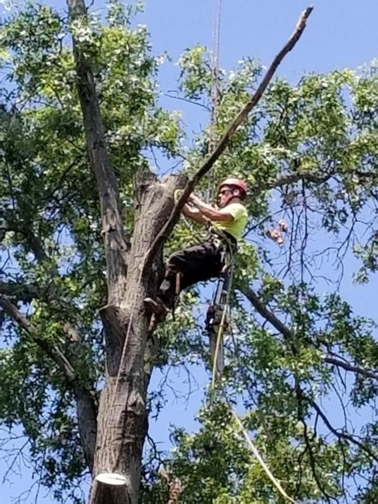 Top-rated outdoor landscaping in Hudson, OH by John's Tree Service & Landscaping