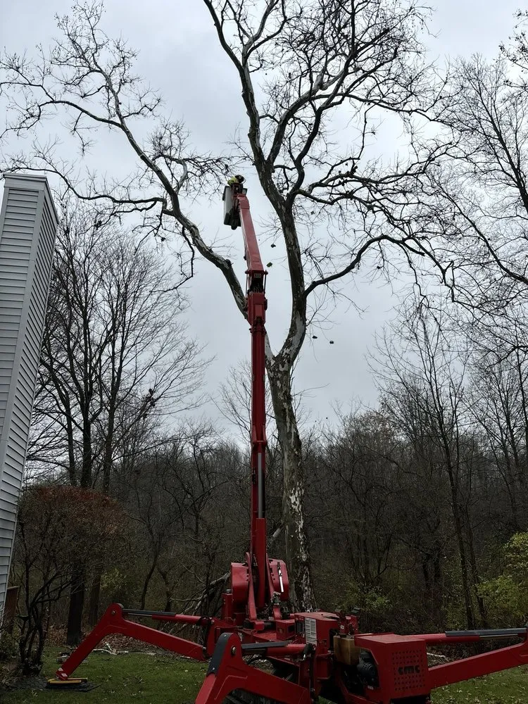 Local landscape installation in Hudson, OH - John's Tree Service & Landscaping