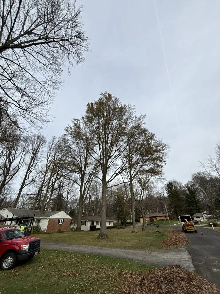 Reliable yard cleanup service experts serving Hudson, OH - John's Tree Service & Landscaping