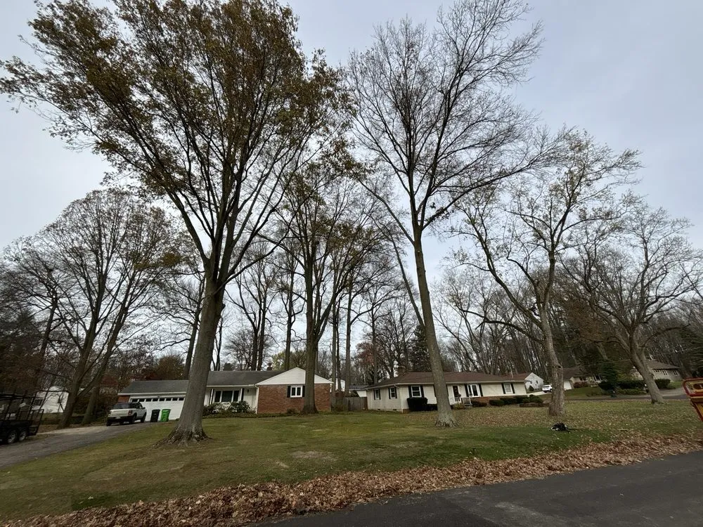 Local landscaping services in Hudson, OH by John's Tree Service & Landscaping