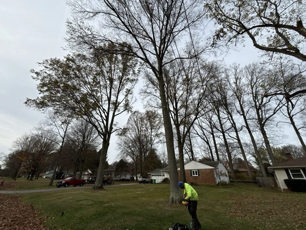 Trusted outdoor landscaping with custom design across Hudson, OH - John's Tree Service & Landscaping