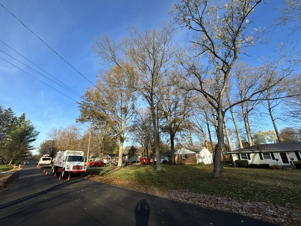 Professional outdoor landscaping experts serving Hudson, OH - John's Tree Service & Landscaping