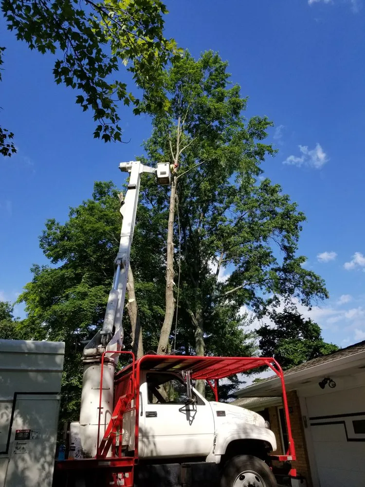 Affordable landscaping services near you across Hudson, OH - John's Tree Service & Landscaping