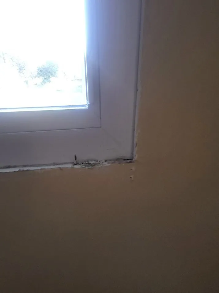 Reliable lawn mowing service for outdoor upgrades in Johnson City, NY by John's Tree Service & Landscaping