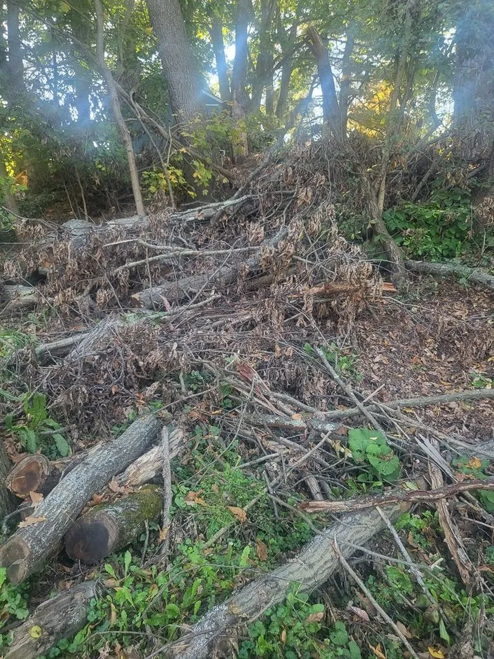 Affordable lawn care service experts serving Johnson City, NY - John's Tree Service & Landscaping