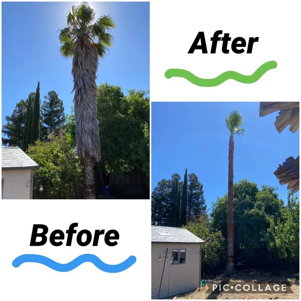 Trusted outdoor landscaping experts serving Pittsburg, CA - John's Tree Service