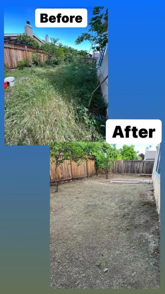 Affordable yard maintenance in Pittsburg, CA - John's Tree Service