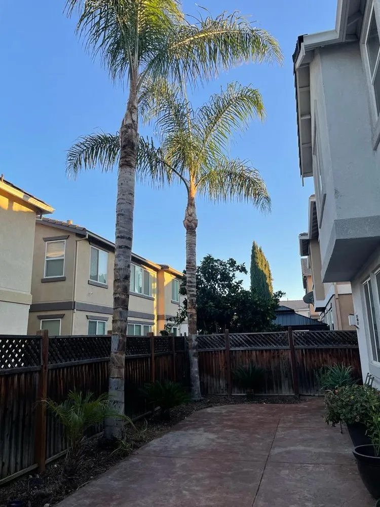 Reliable garden landscaping for residential properties across Pittsburg, CA - John's Tree Service