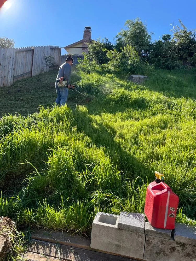 Reliable outdoor landscaping in Pittsburg, CA - John's Tree Service