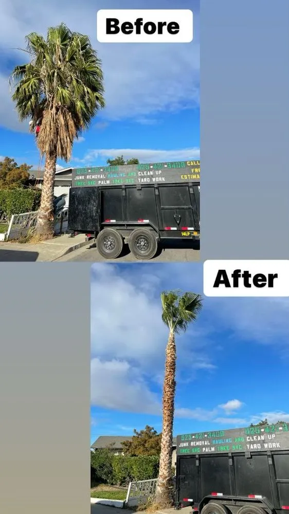 Top-rated lawn mowing service for homes in Pittsburg, CA by John's Tree Service