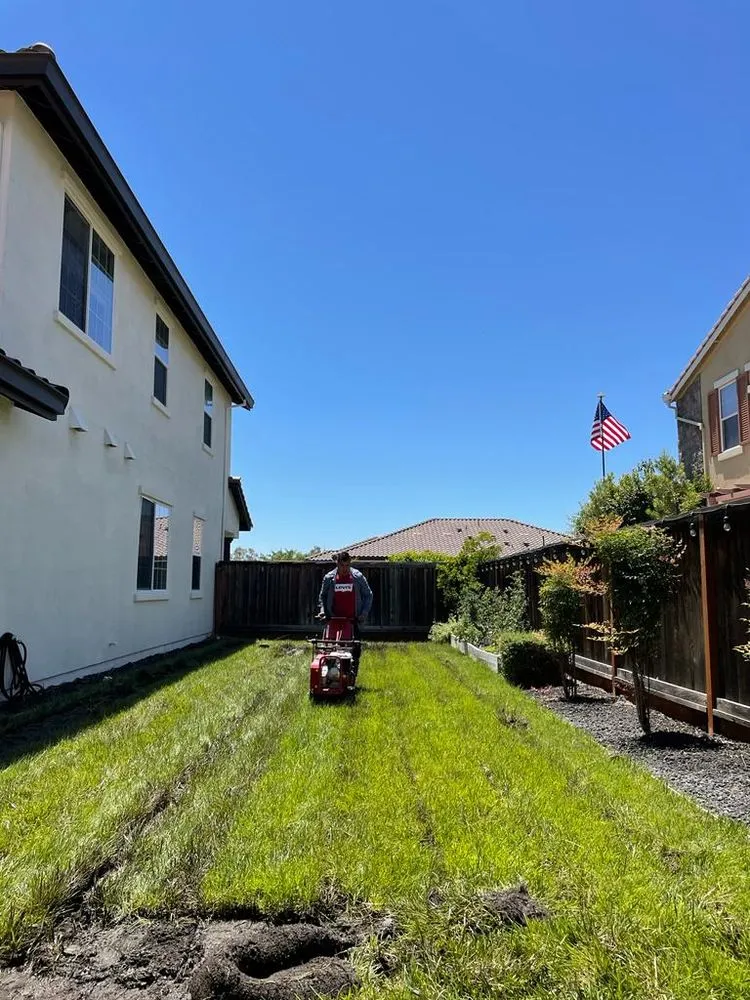 Professional garden landscaping in Pittsburg, CA by John's Tree Service