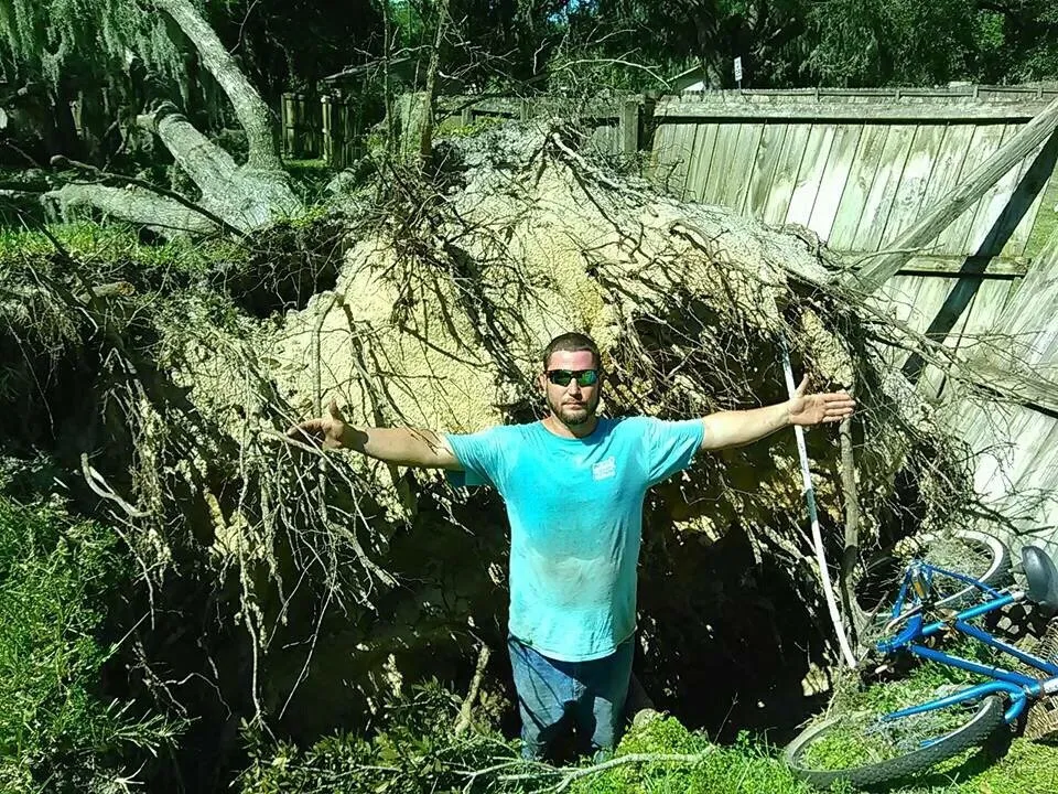 Affordable outdoor landscaping in Leesburg, FL by John's Trees & Landscaping Company