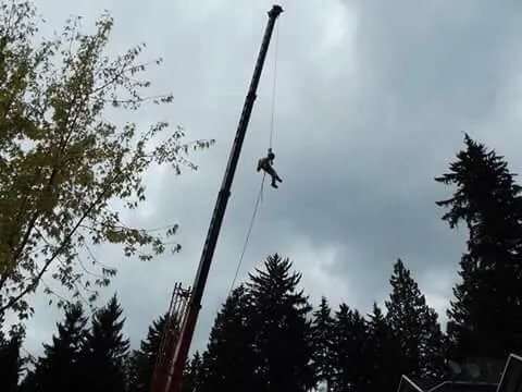 Custom garden landscaping with custom design in Leesburg, FL by John's Trees & Landscaping Company