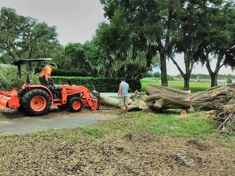 Expert yard maintenance in Leesburg, FL - John's Trees & Landscaping Company