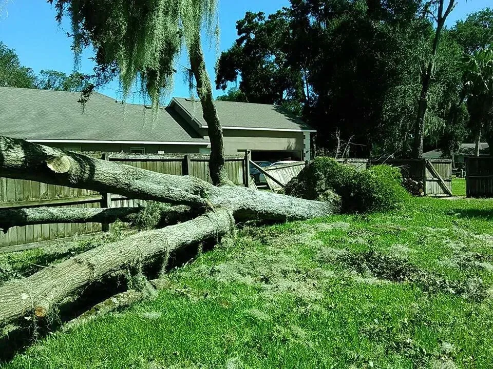 Reliable landscape installation with custom design in Leesburg, FL by John's Trees & Landscaping Company