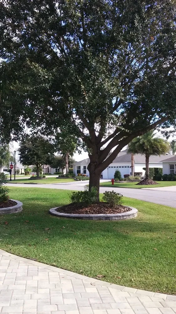 Expert landscaping services for year-round maintenance in Leesburg, FL by John's Trees & Landscaping Company