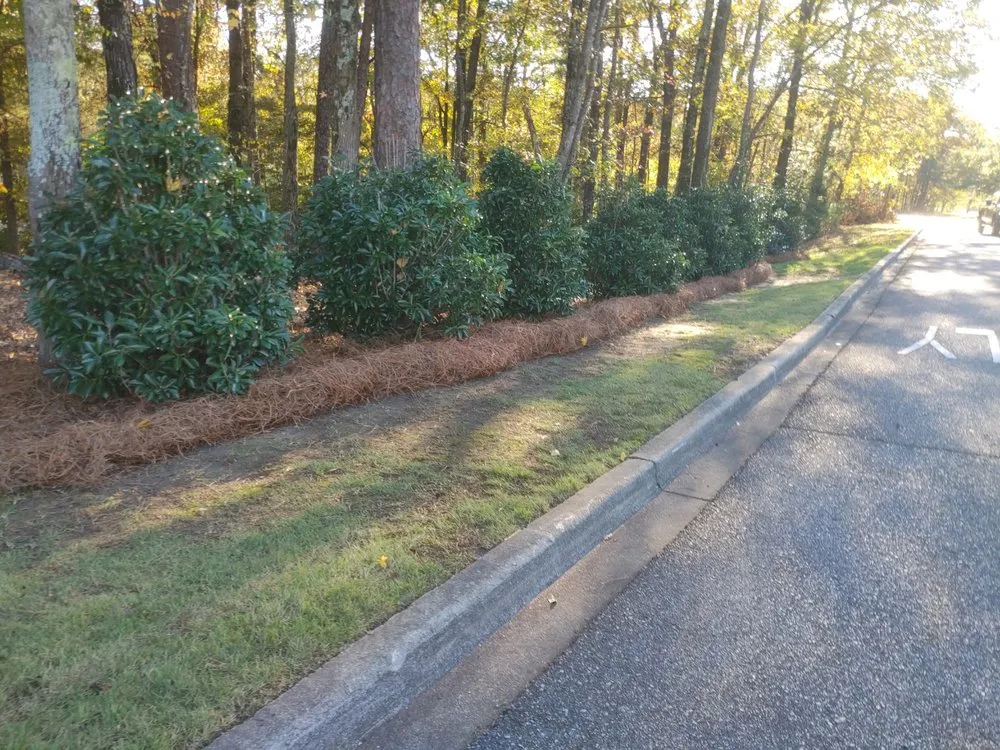 Expert landscaping services with custom design across Montevallo, AL - John's Trusty Turf