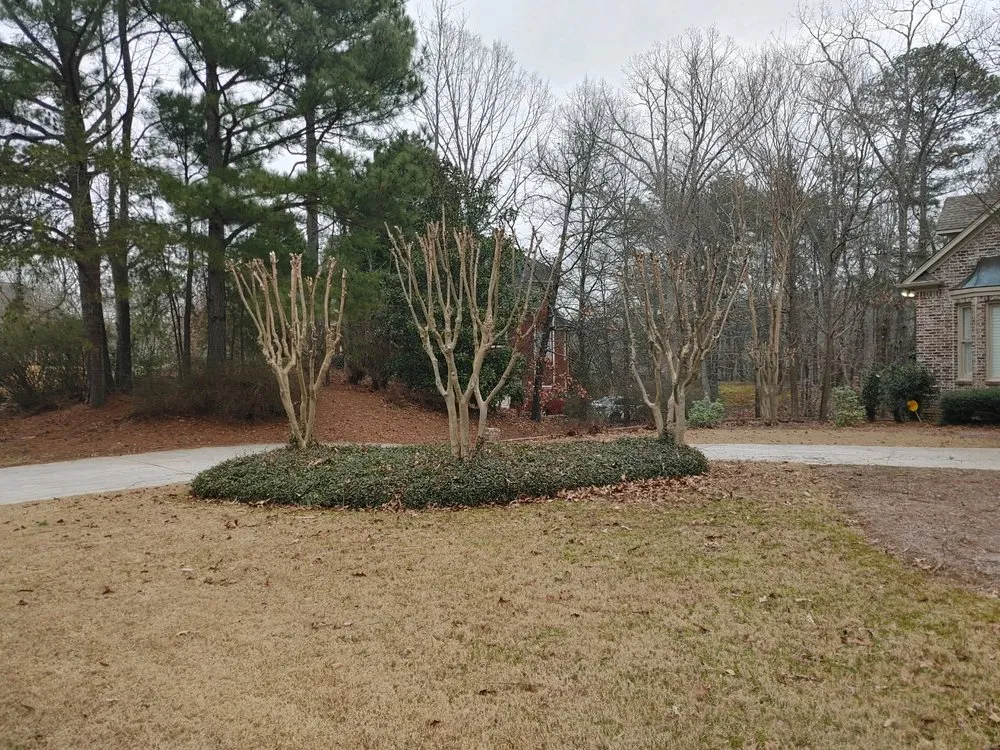 Affordable landscape installation for year-round maintenance across Montevallo, AL - John's Trusty Turf