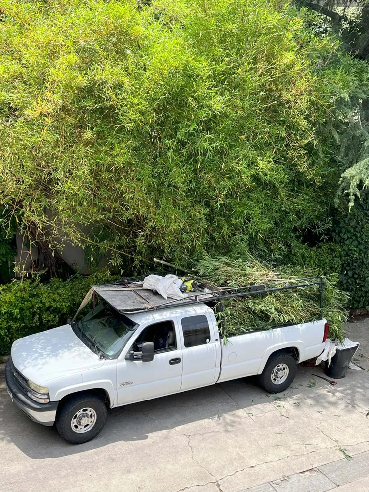 Trusted yard cleanup service in Lawndale, CA - John’s Yard Clean-Up Service