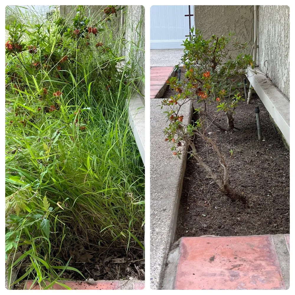 Professional landscaping services for residential properties across Lawndale, CA - John’s Yard Clean-Up Service