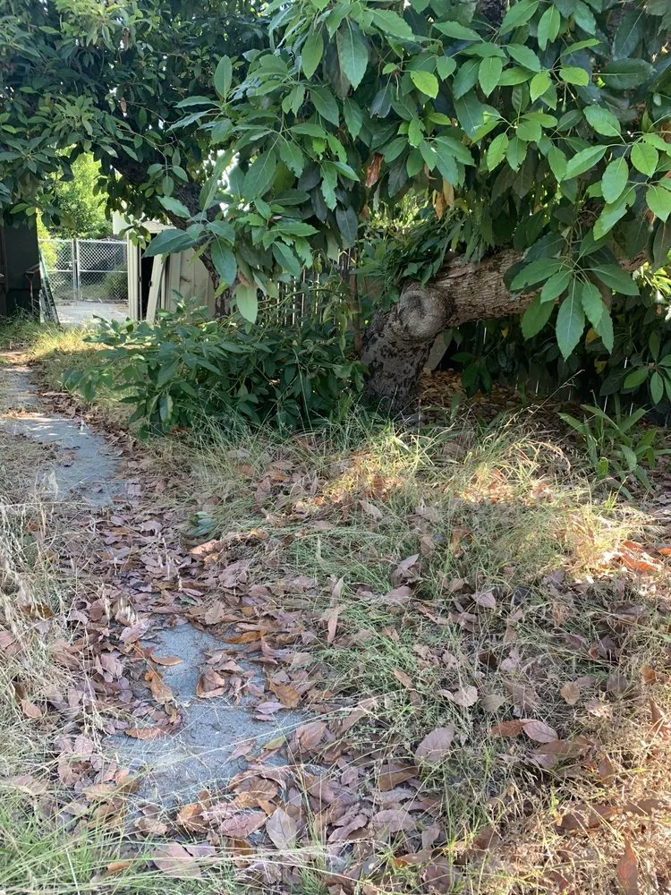 Expert landscaping services experts serving Lawndale, CA - John’s Yard Clean-Up Service