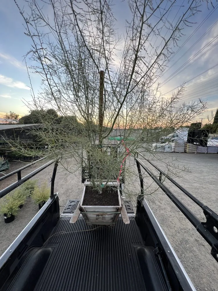 Custom yard maintenance for outdoor upgrades across Lawndale, CA - John’s Yard Clean-Up Service