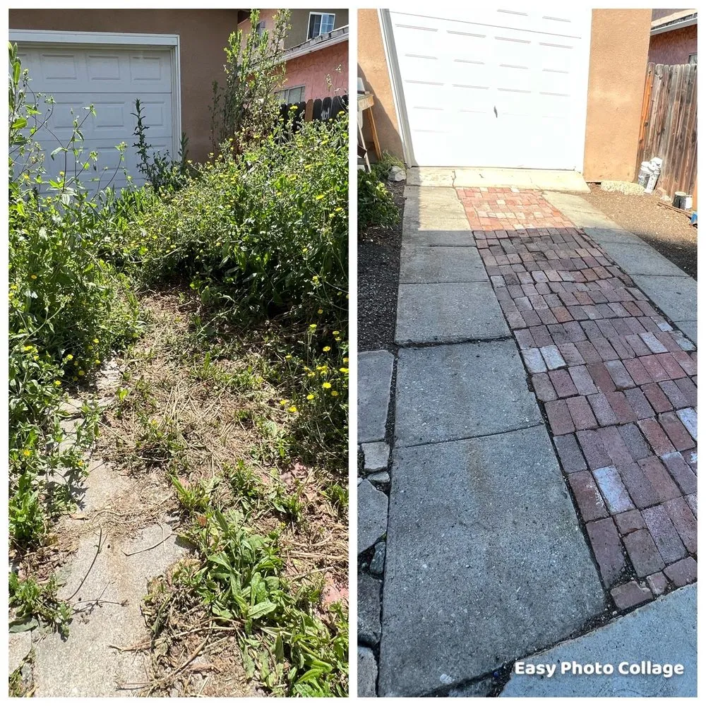 Top-rated landscape installation for residential properties across Lawndale, CA - John’s Yard Clean-Up Service