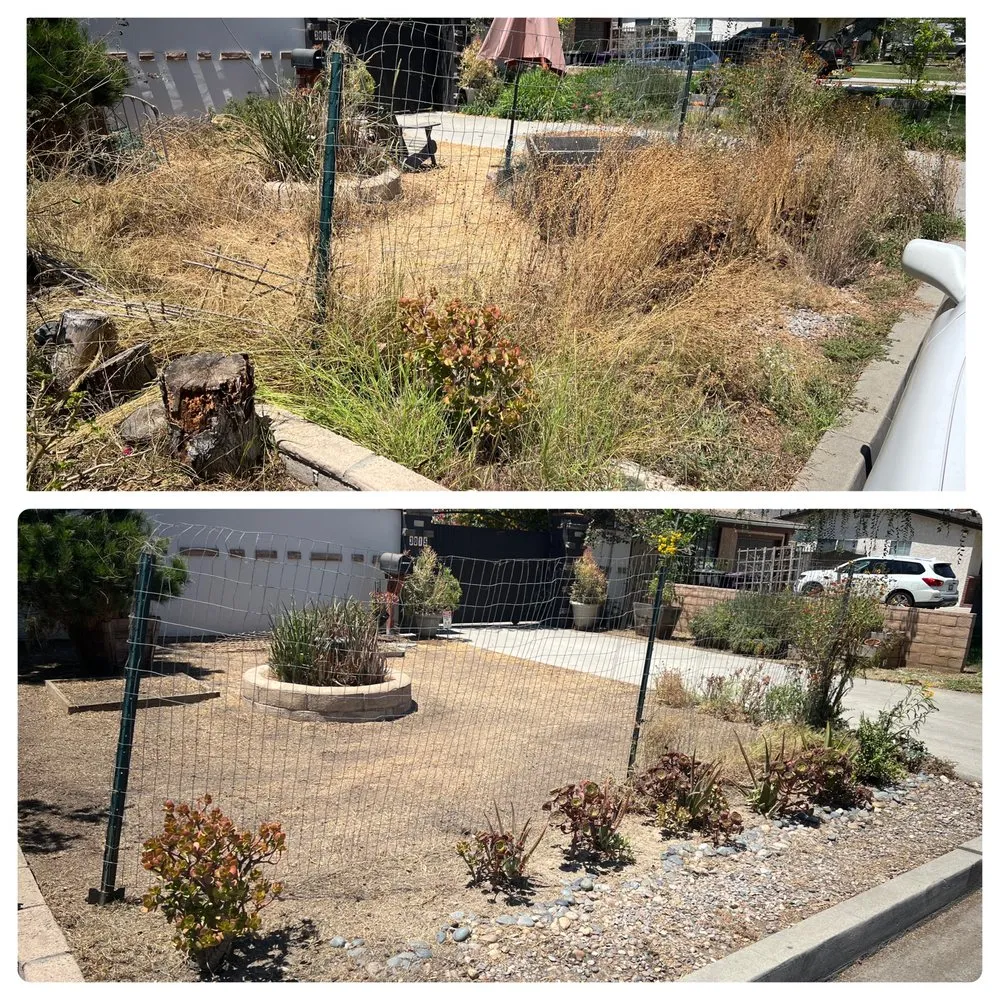 Reliable landscaping services for residential properties across Lawndale, CA - John’s Yard Clean-Up Service