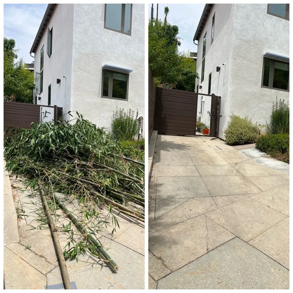 Reliable yard cleanup service near you across Lawndale, CA - John’s Yard Clean-Up Service