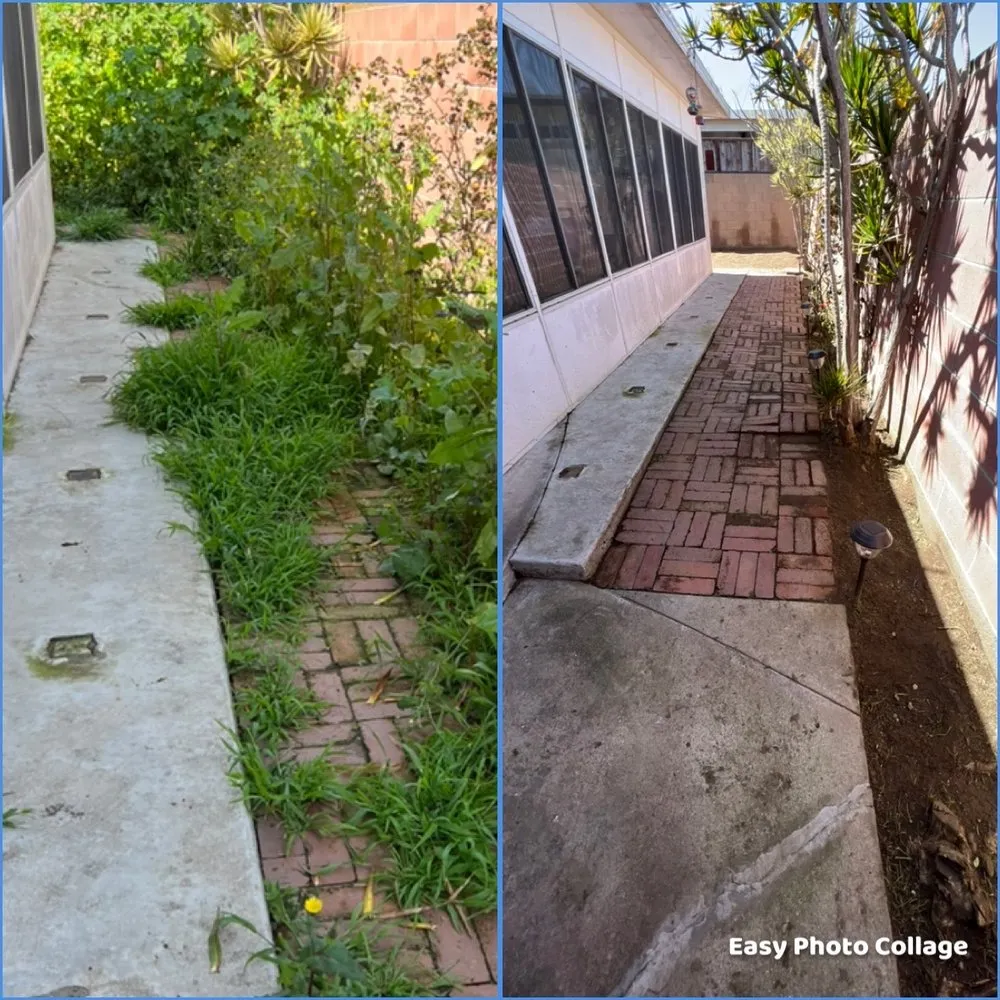 Top-rated yard maintenance experts serving Lawndale, CA - John’s Yard Clean-Up Service