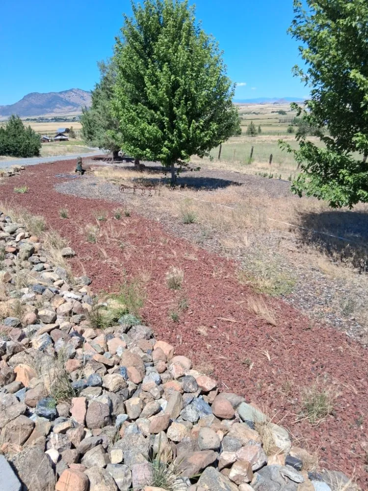 Local landscaping services in Fort Jones, CA - John's yard service