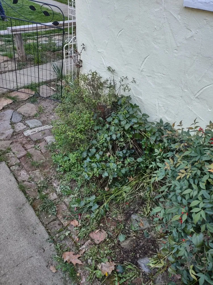 Reliable residential landscaping in Fort Jones, CA - John's yard service