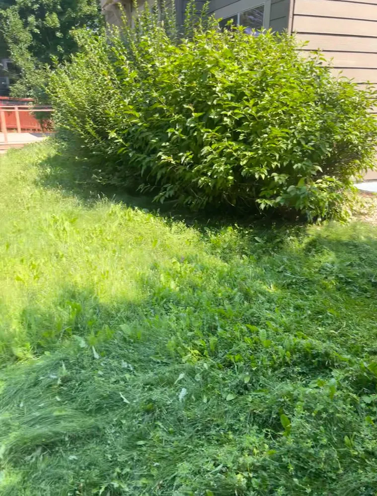 Local outdoor landscaping in Castle Rock, CO by Johnson & Co Landscaping